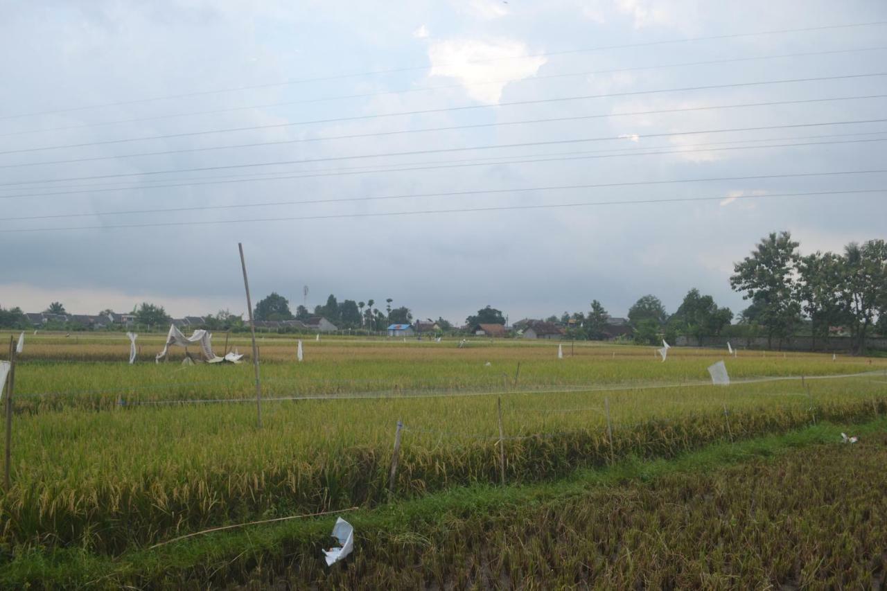 Rumah Kayu Yogyakarta Eksteriør billede